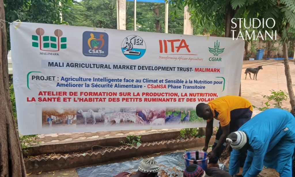Koulikoro : des producteurs formés à l’élevage des petits ruminants et des volailles
