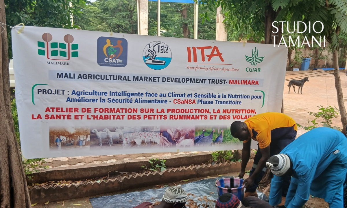 Koulikoro : des producteurs formés à l’élevage des petits ruminants et des volailles