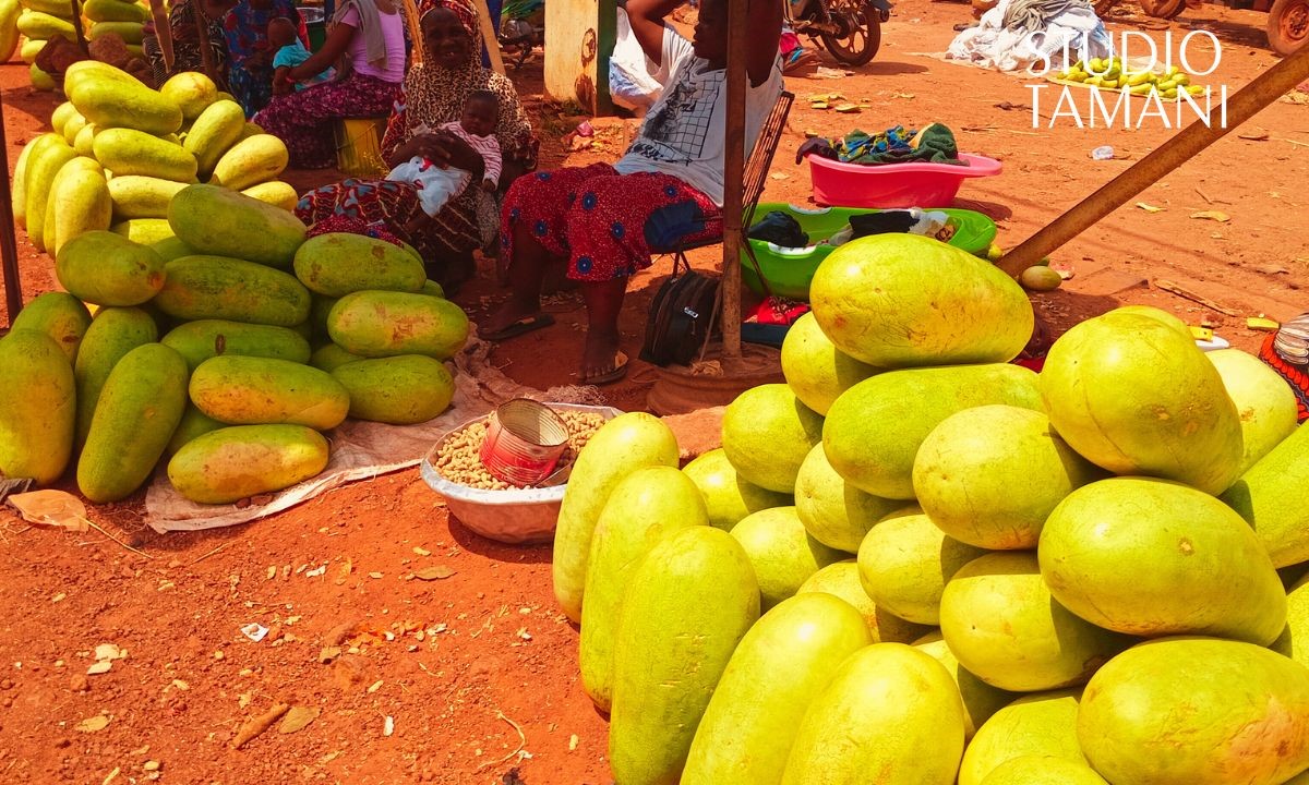 Kita : la pastèque locale fait son entrée sur les marchés