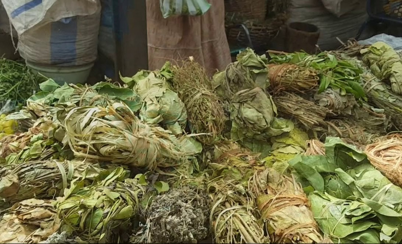 Actu’covid : des herboristes en quête de remède contre la maladie