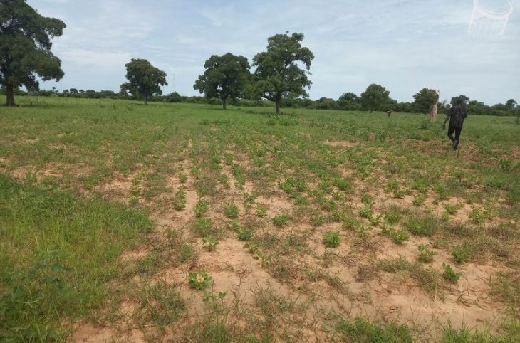 A San, les préparatifs de la campagne rizicole prochaine ont commencé