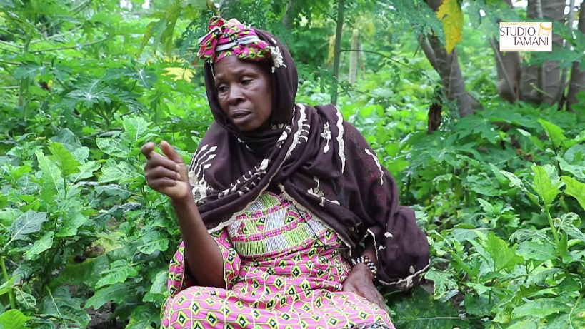 Changement climatique à Fana : les femmes déplorent la qualité des légumes et fruits