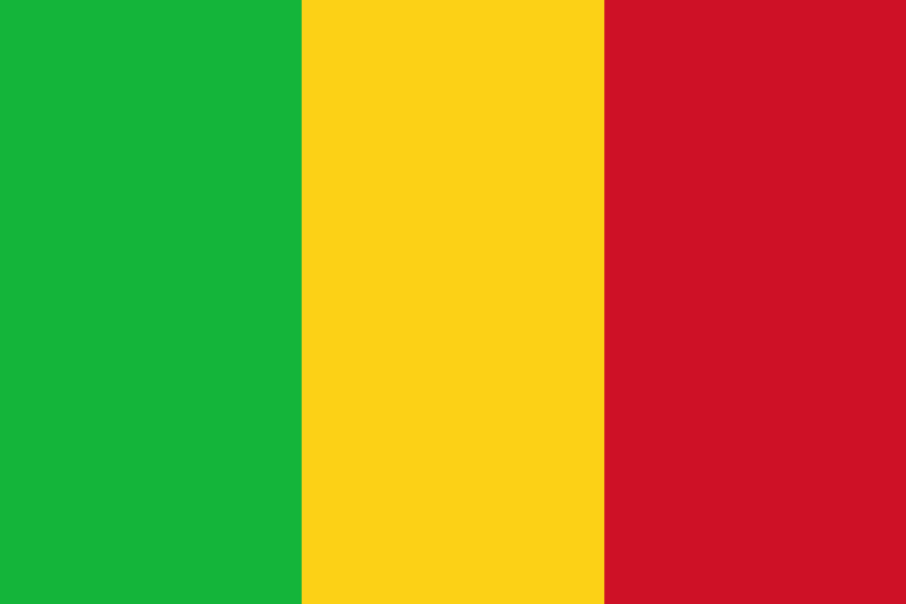 Transition au Mali : comment pourrait-elle se dérouler ?