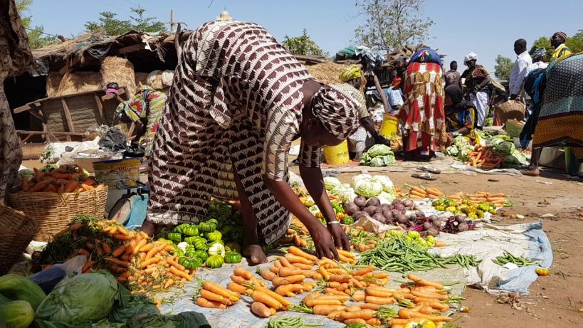 Autonomisation des femmes au Mali : quelle contribution de Studio Tamani ?