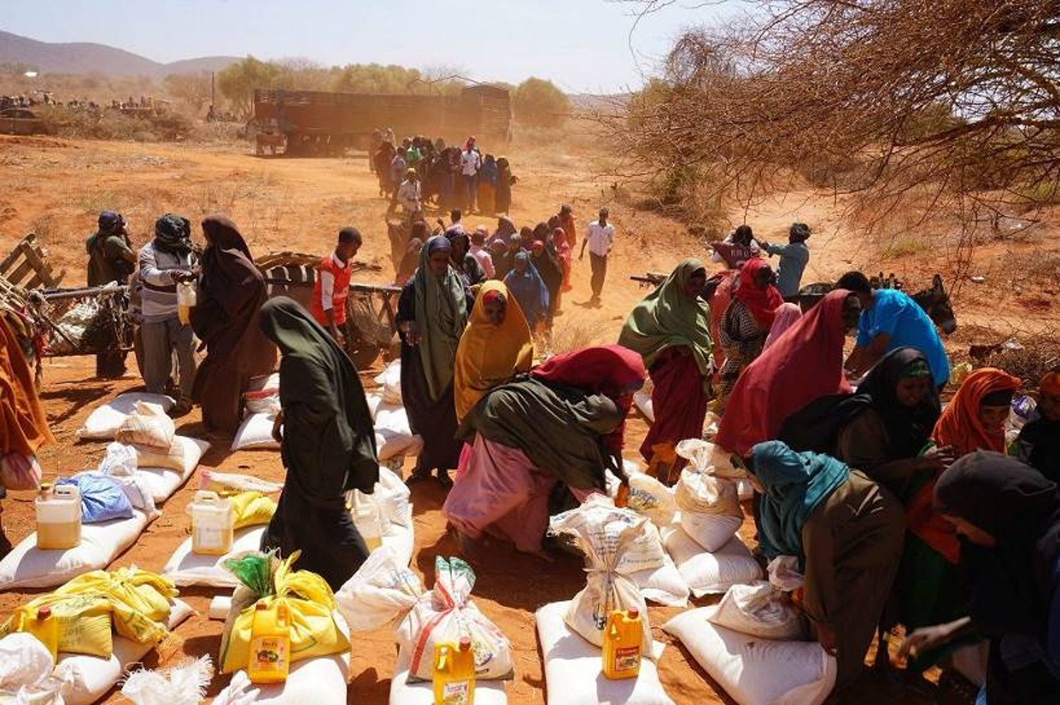 Mali : plus de 5 millions de personnes en besoin d’assistance humanitaire, selon OCHA