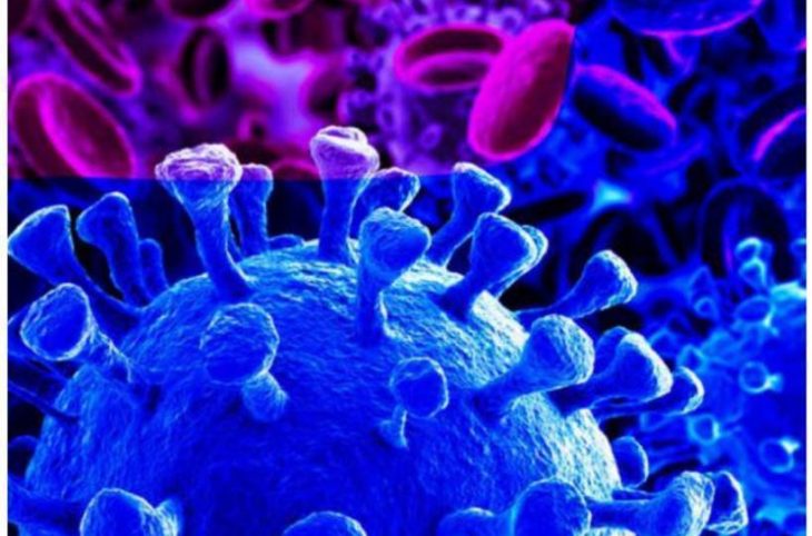 ACTUCOVID : 28ème série de questions d'auditeurs