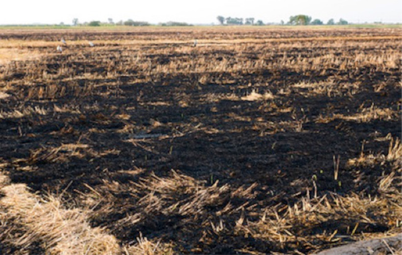 BAFOULABE : un cultivateur perd toute sa récolte dans un incendie