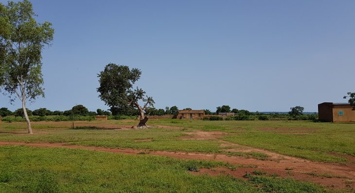 « Parlons de l’Environnement » : Déforestation à Tinkolé, "nous subissons les conséquences de nos actes"
