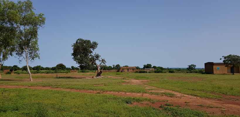« Parlons de l’Environnement » : Déforestation à Tinkolé, « nous subissons les conséquences de nos actes »