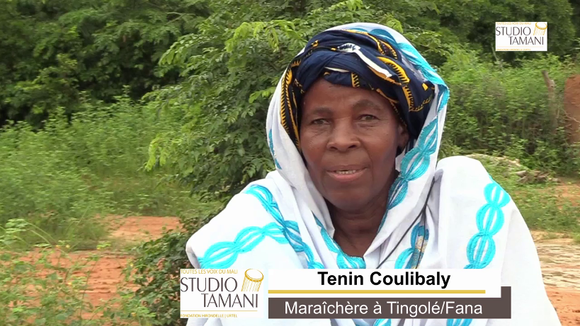 Changement climatique à Fana et Dioïla : plus de « 5000 femmes affectées ont été soutenues »