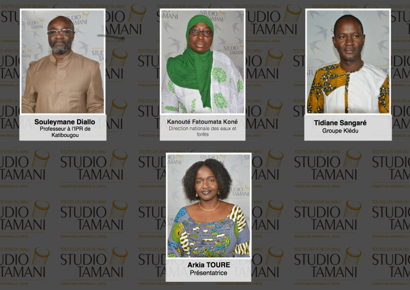 Déforestation : comment sauver les forêts du Mali ?