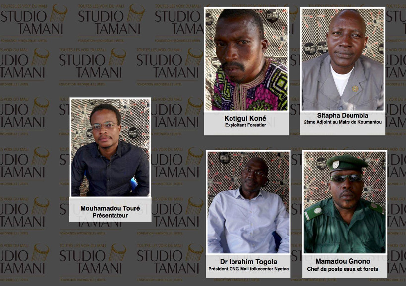 Déforestation : un véritable défi à Koumantou