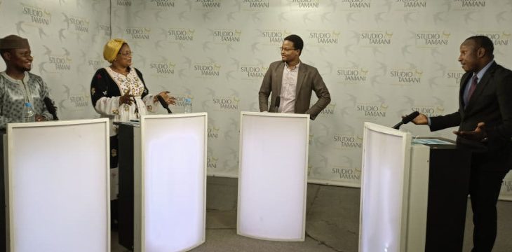 Transition au Mali : quelle analyse du plan d’action du gouvernement ?