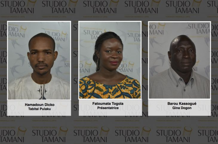 Centre du Mali : qu'est-ce qui se passe dans la zone ?