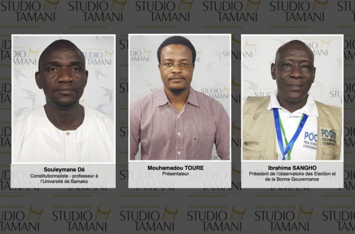 Législatives 2020 au Mali : quel est le bilan du premier tour ?