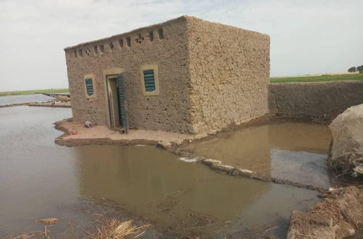 Montée des eaux du fleuve: après Youwarou, des maisons et des champs  engloutis à Kabara