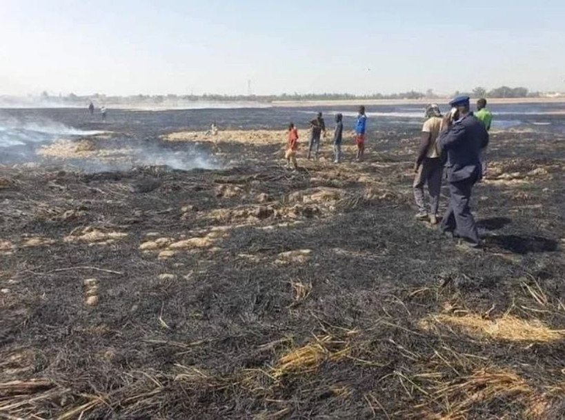 « Risque d’insécurité alimentaire » à Dogofry : des hectares de champs brûlés par les terroristes