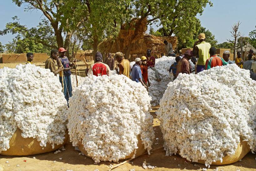 Koutiala : meeting de soutien des producteurs de coton aux autorités de la transition