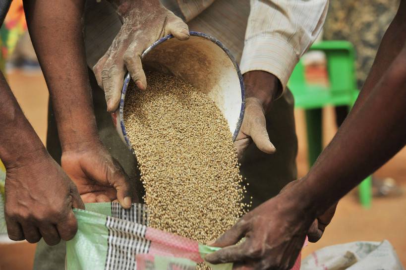 Insécurité alimentaire : le plan de réponse avec 43 mille tonnes de céréales « reste insuffisant »