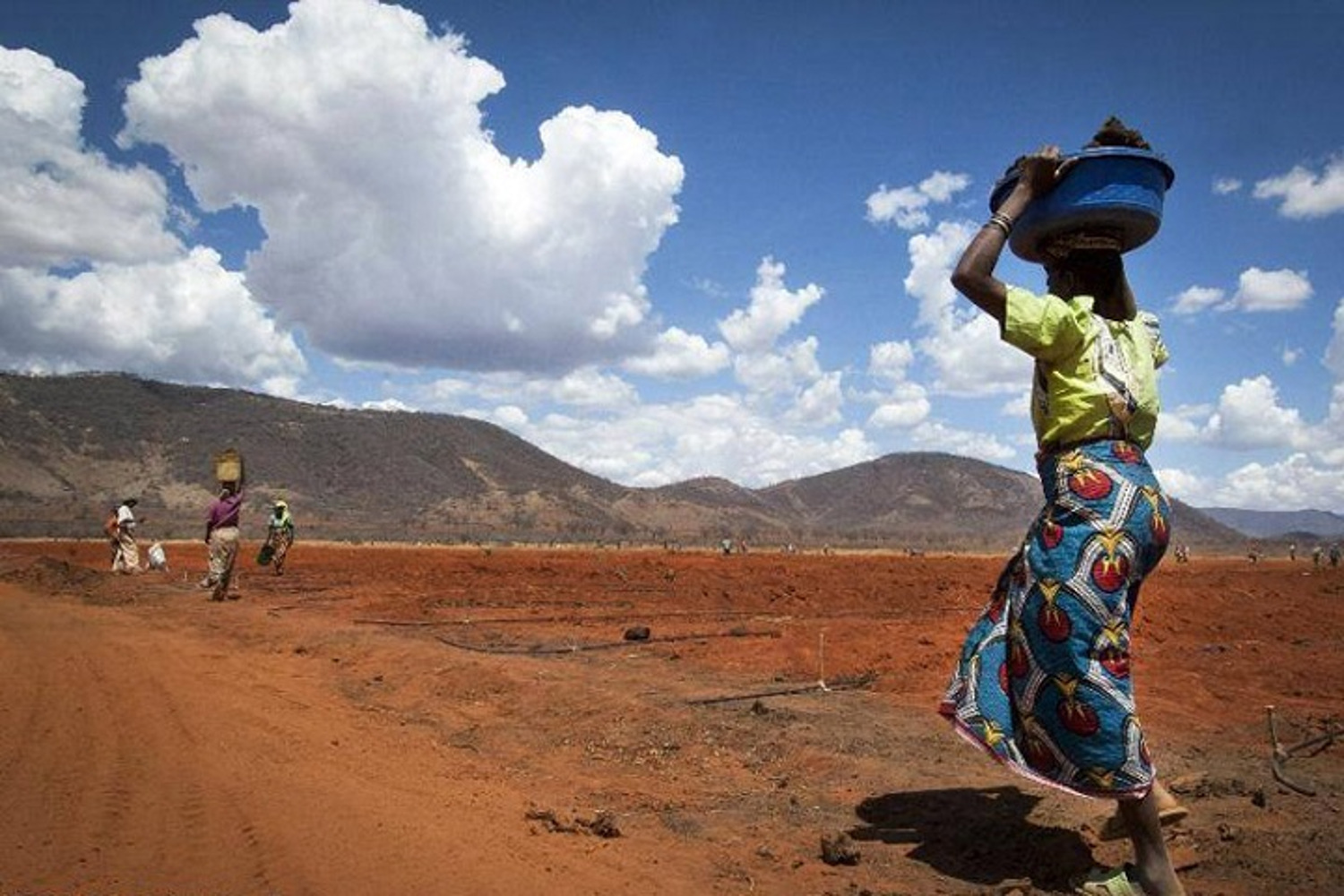 Changement climatique : « une opportunité pour le Mali », selon des spécialistes