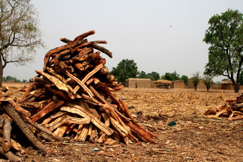 Parlons de l’Environnement : Mali, le service des eaux et forêts a été « détruit par le politique »
