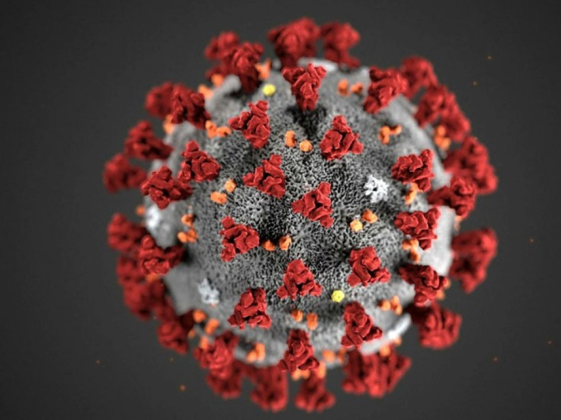 Coronavirus : 5 mesures du gouvernement pour « prévenir la maladie »