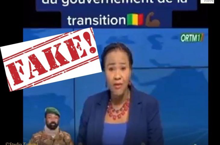 Non, le Mali n’a pas proclamé le bambara comme langue officielle
