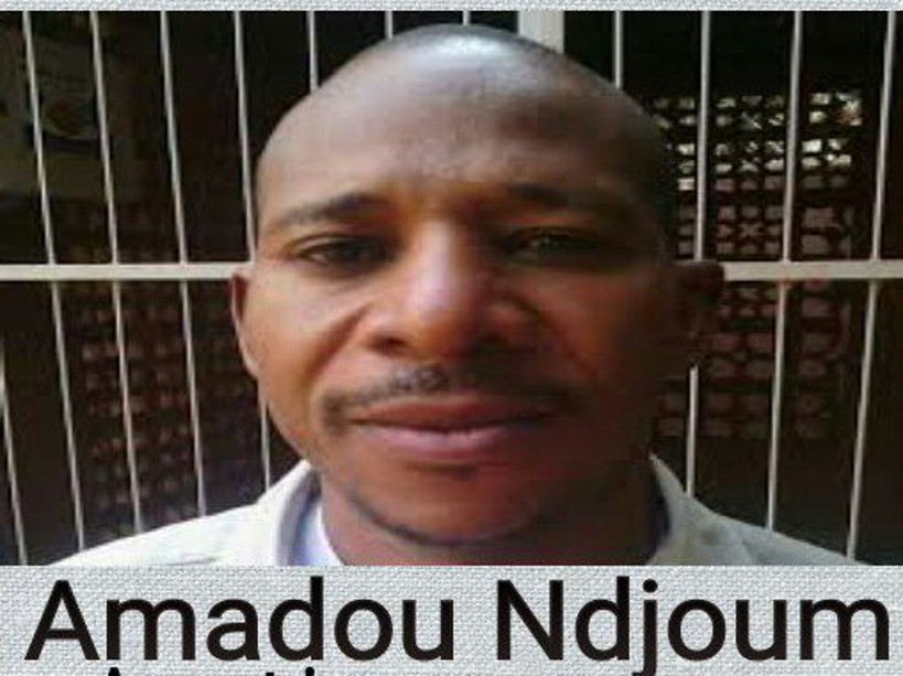 Libération d’otage : des interrogations après celle d’Amadou N’djoum