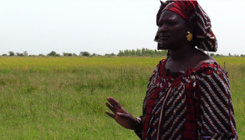 Agriculture : les femmes marginalisées dans la distribution des champs