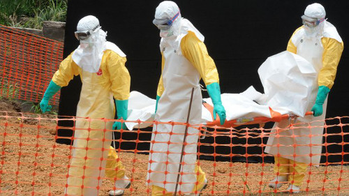 Fièvre Ebola: Alerte de l’OMS aux pays d’Afrique de l’Ouest
