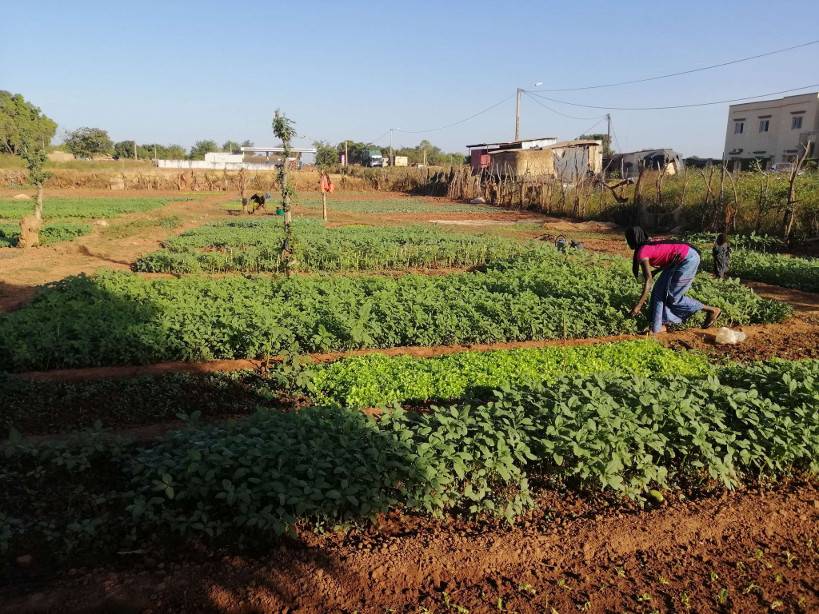 Autonomisation des femmes : plus de 500 femmes de Kadiolo ont acquis de nouvelles compétences