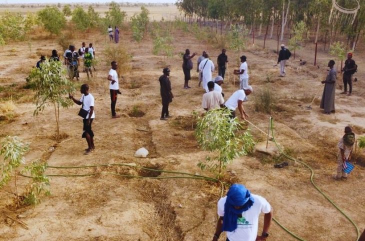 KAYES : 1200 arbres plantés par la diaspora de Tafacirga-Gadiaga