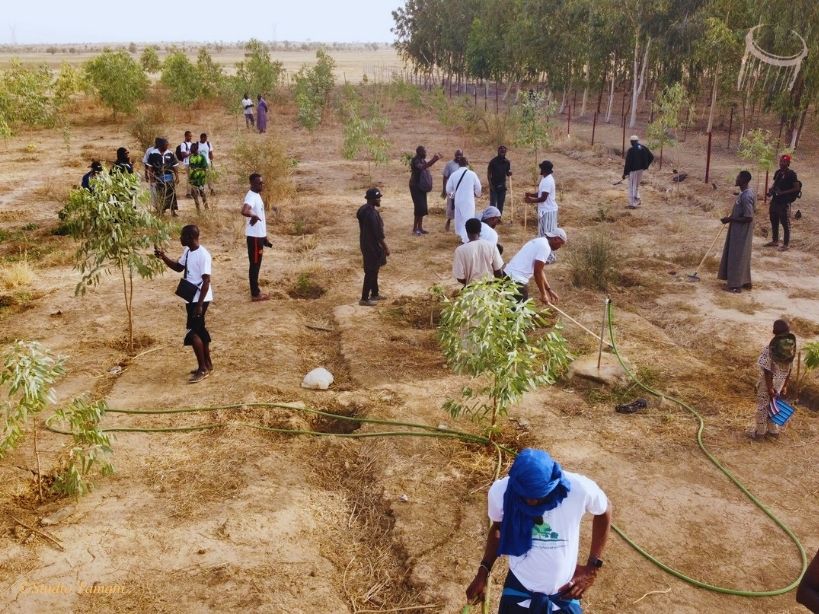 KAYES : 1200 arbres plantés par la diaspora de Tafacirga-Gadiaga