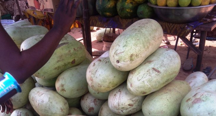 Koutiala : la population dénonce la cherté du prix de la pastèque