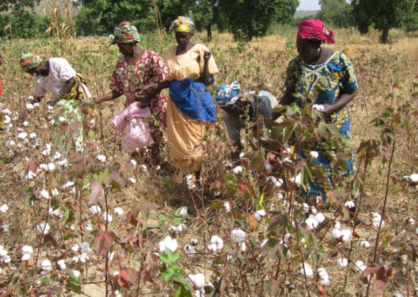 Agriculture : une plate-forme numérique au service des femmes