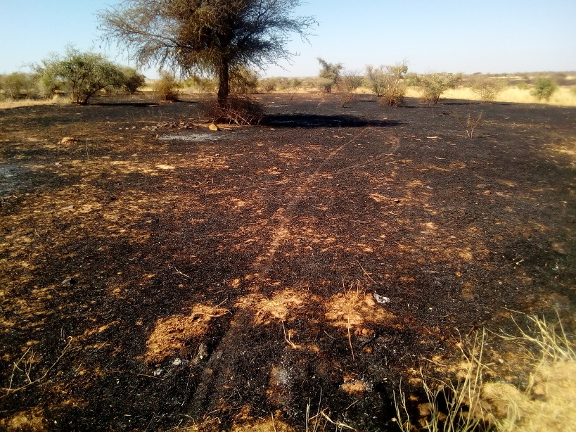 Nioro du Sahel : d’énormes dégâts provoqués par un incendie