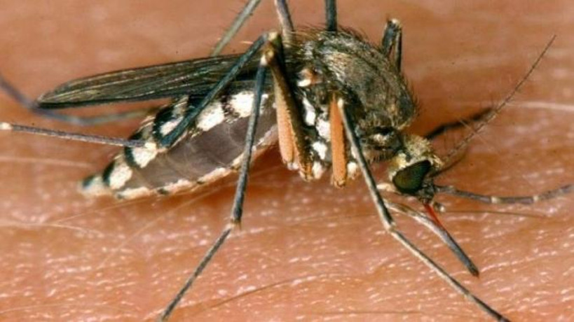 KADIOLO : chimio préventif du paludisme saisonnier, plus de 133 mille enfants concernés