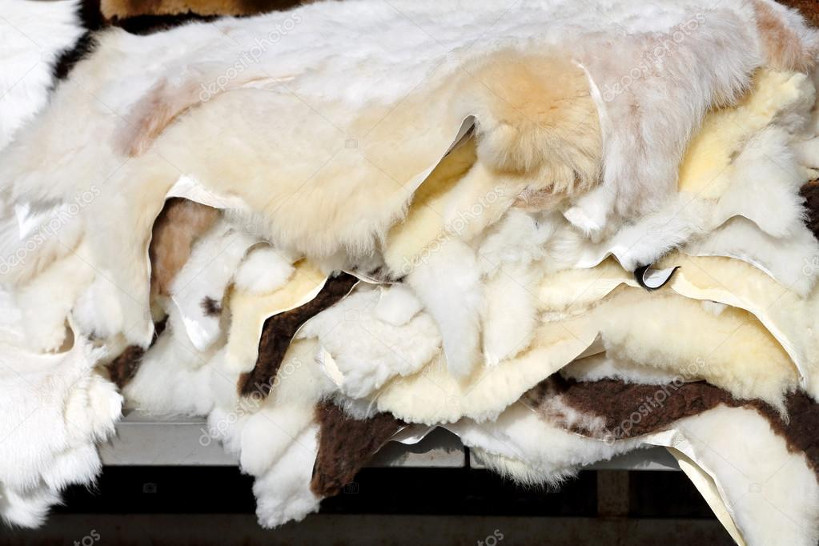 Tabaski : les collecteurs des peaux de moutons se frottent les mains