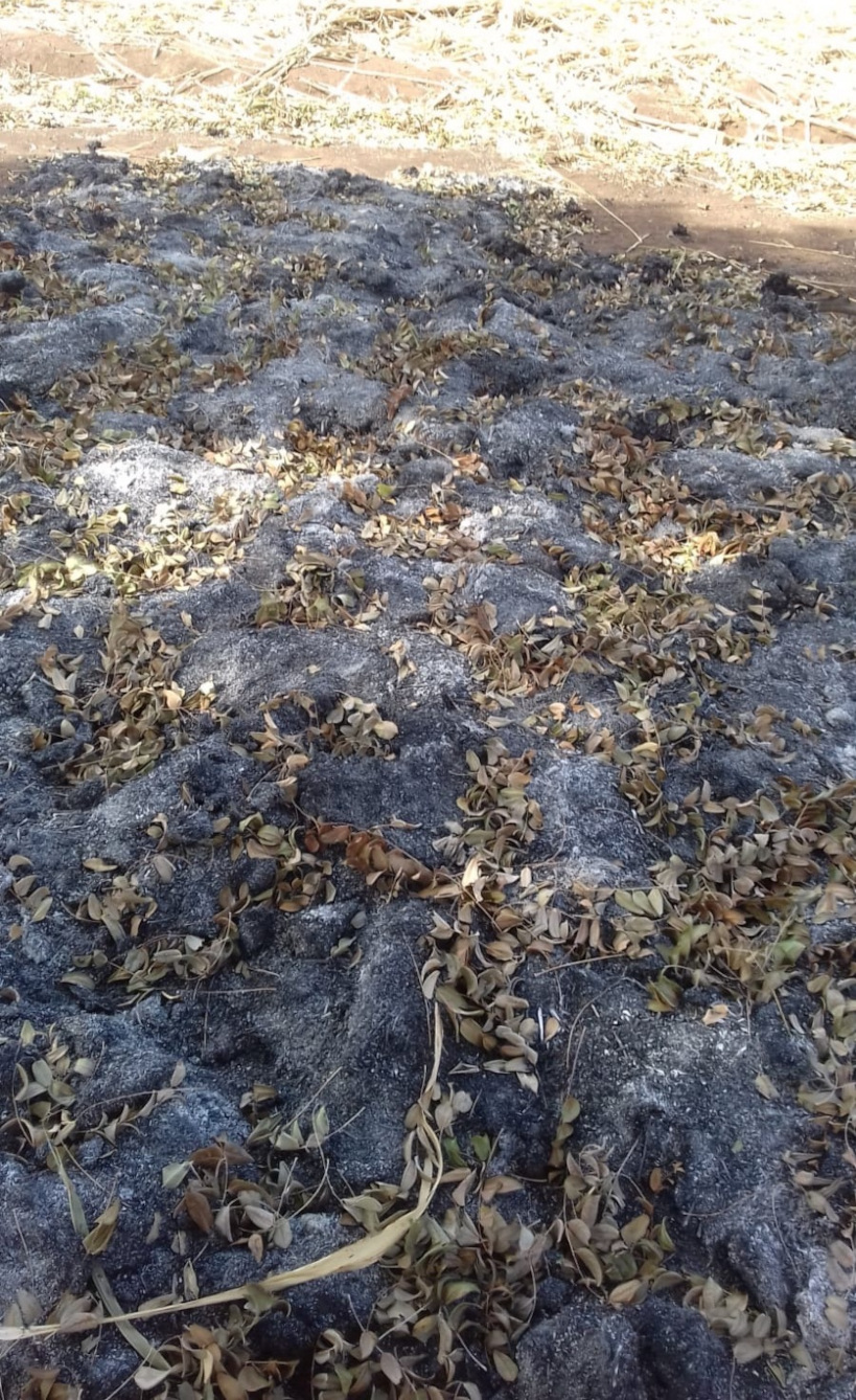 Bafoulabé: des champs brûlés à Oussoubidjagna