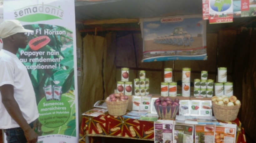 SIKASSO : lancement de la 9ème édition de la bourse de la semence