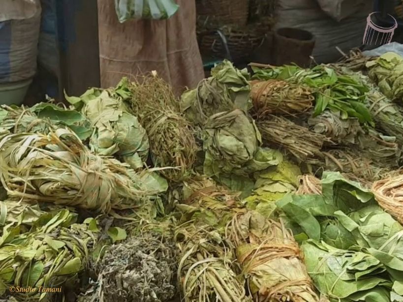 Santé des nourrissons : des médecins mettent en garde !