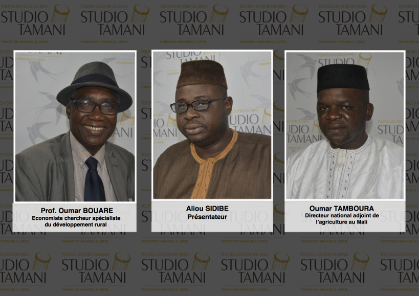 Campagne agricole 2018-2019 au Mali : quel bilan à mi-parcours ?