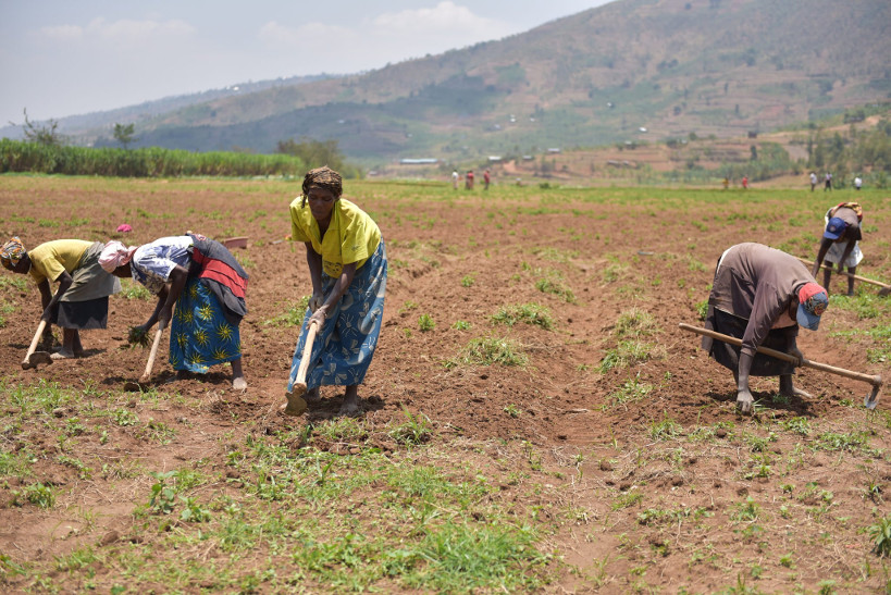 « Parlons de l’Environnement » : Mali, le secteur agricole « gravement touché »