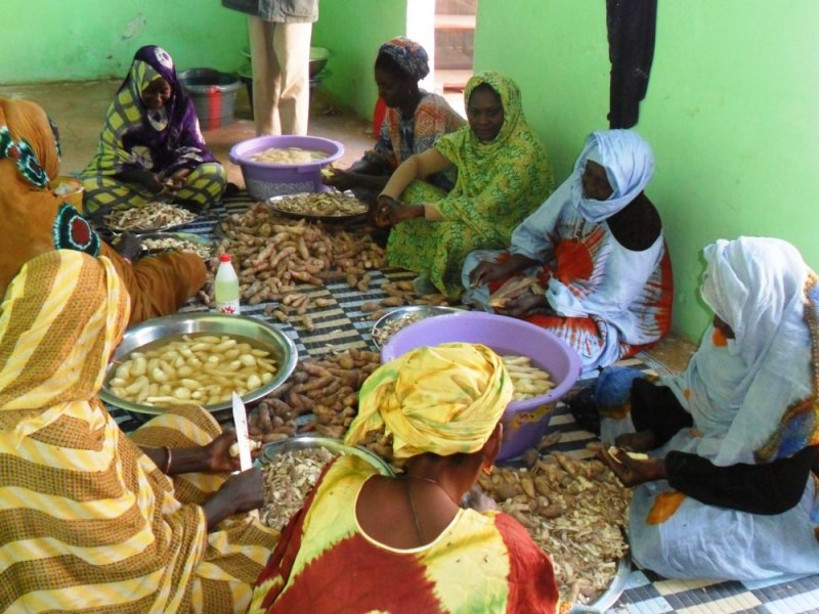 Koulikoro : une quarantaine de femmes outillées en transformation de produits agroalimentaires