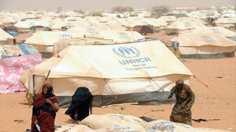 Mauritanie, Congo, Togo, Syrie : plus de 48.500 ressortissants de ces pays sont réfugiés au Mali