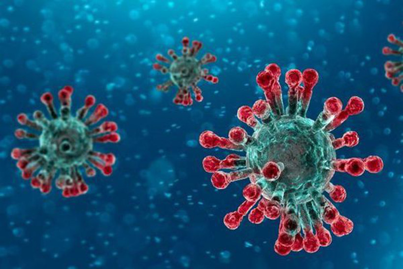 Coronavirus : les enfants conscients de la menace