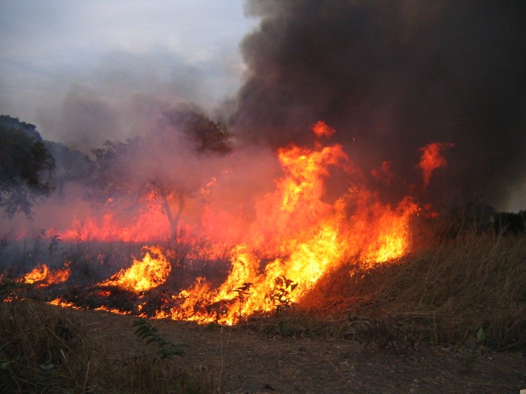 Gao : mise en place d’un comité de lutte contre les feux de brousse