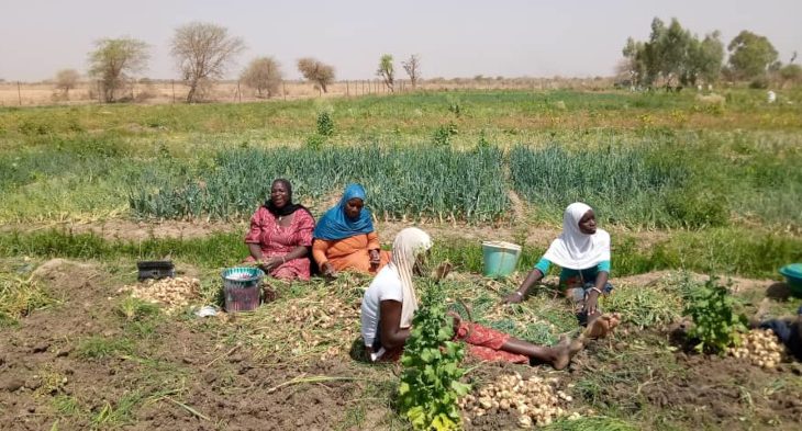 Fin d’une formation sur l’entrepreneuriat des femmes de Gao et Ansongo