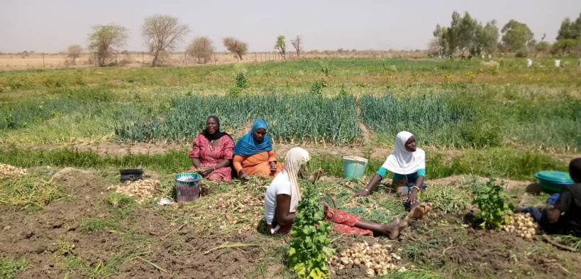 Fin d’une formation sur l’entrepreneuriat des femmes de Gao et Ansongo