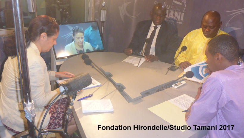 Coopération Mali Union Européenne, ou en sommes nous ?